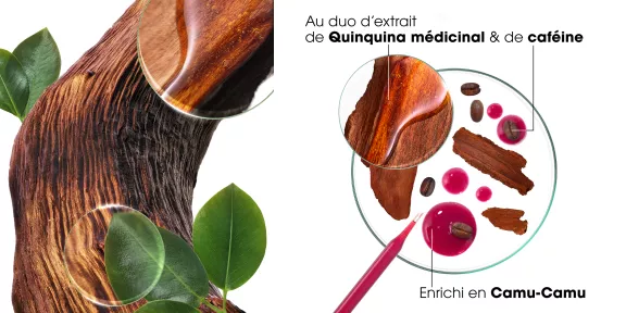 Media_Blog_KL_Quinine_Ingredients_FR